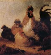 Aelbert Cuyp Rooster and Hens oil painting picture wholesale